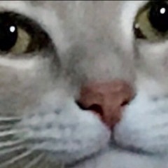 Themegapichu