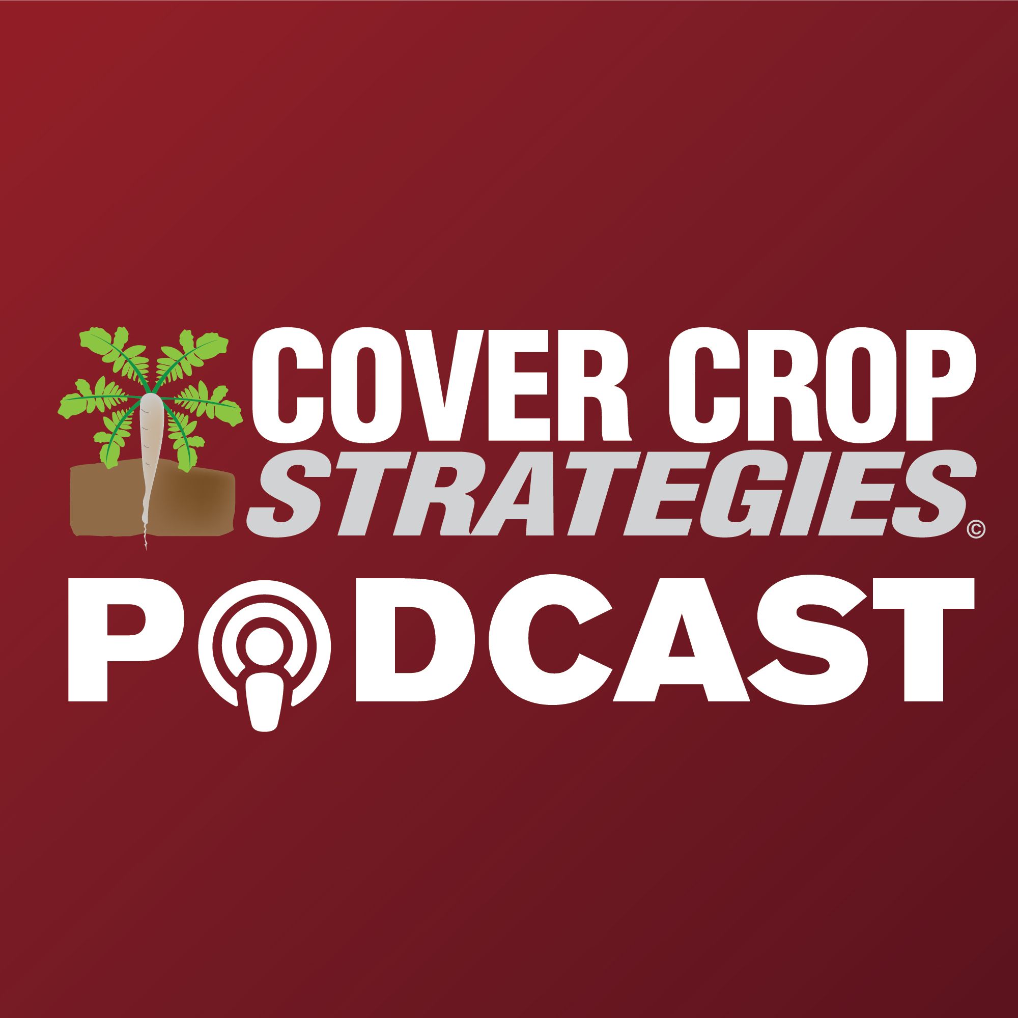 Cover Crop Strategies Podcast