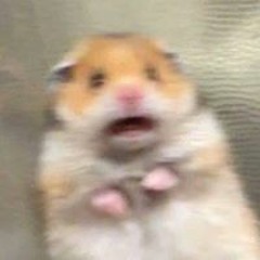 urpapiiiiOri