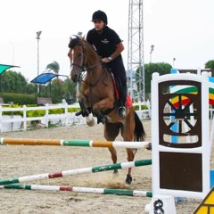 Mohamed Abbassi