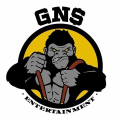 GN$ ENTERTAINMENT LLC