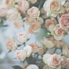 sofia Dalla Valentina