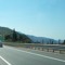 simonana