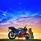 rullybikeco