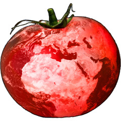 FRESH TOMATO RECORDZ