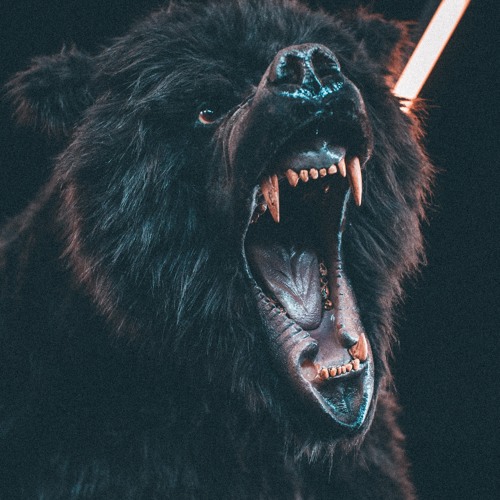 the cilla cali bear’s avatar