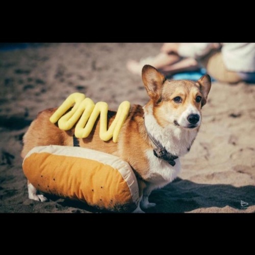 Fantasy Football, Washing A Spraytan, and The Origins of n00b. (ft. Ben Russell, John Whelan, Joe Mulholland)