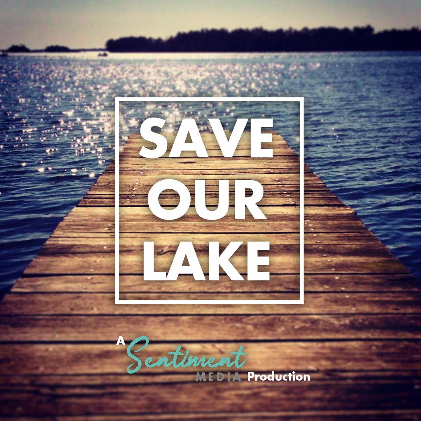 SAVE OUR LAKE