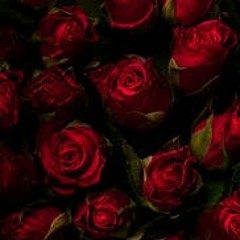 🚫🧢SightSupreme🚫🧢