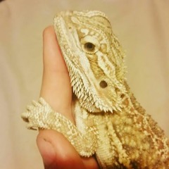 Johnathan Fitzgerald