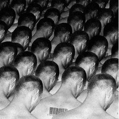 Dorian Van Limbergen