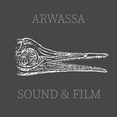 Arwassa Sound & Film