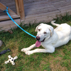 ARMAN SEZER ÇİFTÇİ