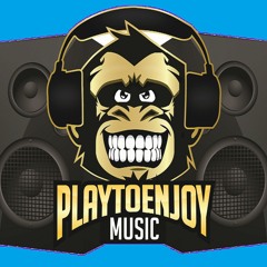 PlayToEnjoy Music