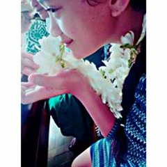 Tihau Tauira