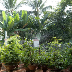 Phước Huệ