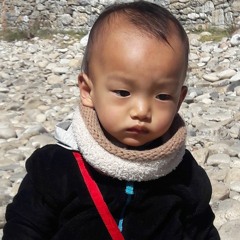 AP Bokto..