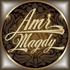 Amr Magdy(amr4all)