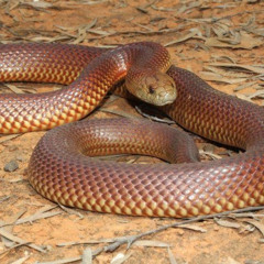 mssmirky Just mssmirky