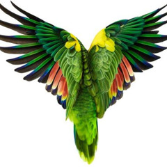 miguel angel keb yeh