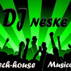 djneske
