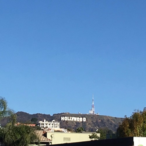 St Germain - Cafe Del Mar- Funk 4 Sale - Ocean Games