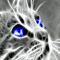 MusicMew