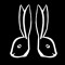 Boardbunniez