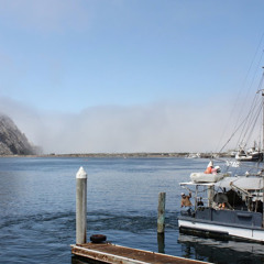 Алексей Зайцев