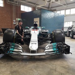 Black Force Riggy