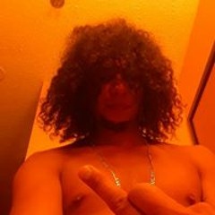 dan cruz