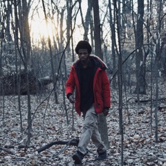 TrellTheArtifact
