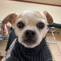 Related tracks: Moonlite (2014)