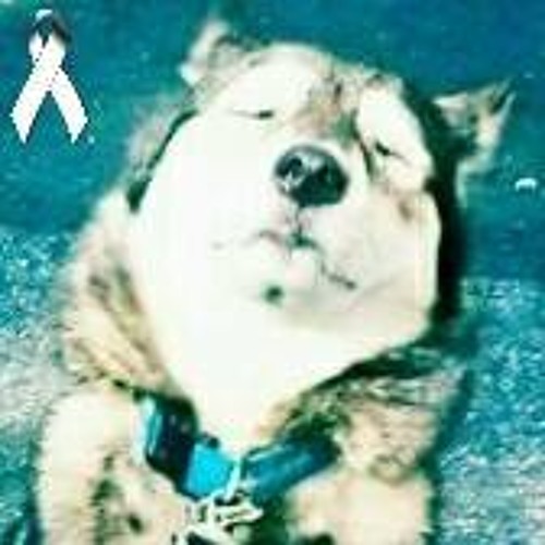 Men at Work - Down Under(techno playa).mp3