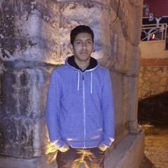 yousef ziany