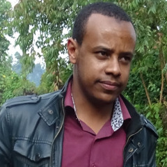 seidfaris beshir