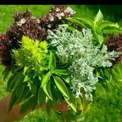 خالدسعيدعبدالله الليلي