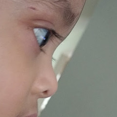 sayed choudhury