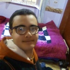 Mohamed Adel