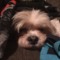 Lil marf