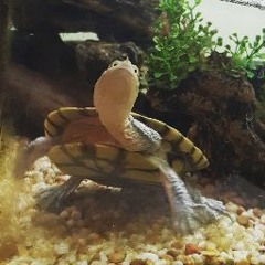 tess .cantthinkofaname