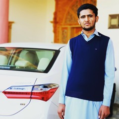 Malik Majid
