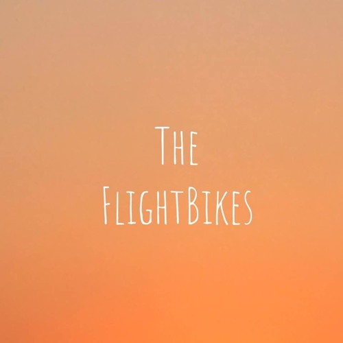 The FlightBikes’s avatar