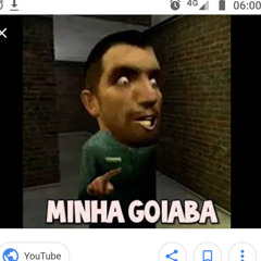goiaba_