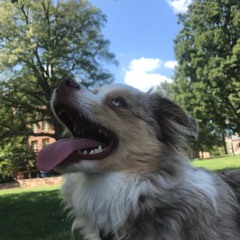 iwentdowntothecrossroads