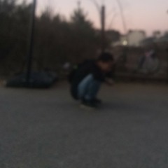 Marii