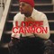 LOOZE CANNON