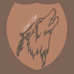 CoveragewolfTTV
