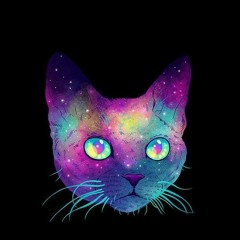 GalaxyCat