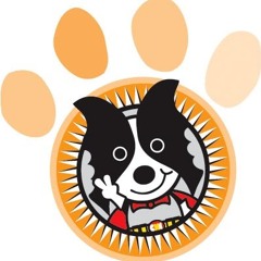 pets88派特88（寵媒）